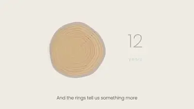 Still from the video: Why do trees have rings?